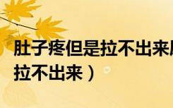肚子疼但是拉不出来屎一直放屁（肚子疼但是拉不出来）