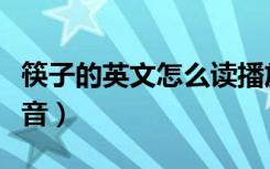 筷子的英文怎么读播放（筷子英文怎么读音播音）