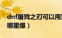 dnf屠戮之刃可以用到多少级（dnf屠戮之刃哪里爆）