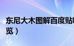 东尼大木图解百度贴吧（东尼大木所有作品一览）