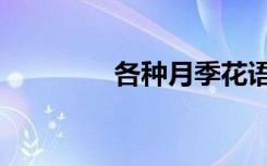 各种月季花语（月季花语）