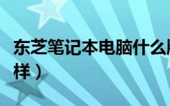 东芝笔记本电脑什么牌子好（东芝笔记本怎么样）