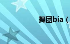 舞团bia（舞团之心）