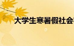 大学生寒暑假社会实践 暑假社会实践