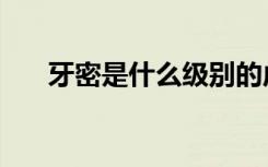 牙密是什么级别的虚（牙密怎么死的）
