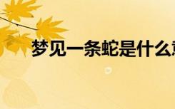 梦见一条蛇是什么意思（梦见一条蛇）