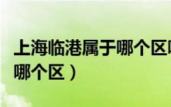 上海临港属于哪个区哪个位置（上海临港属于哪个区）