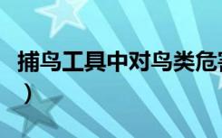 捕鸟工具中对鸟类危害最大的（最新捕鸟工具）