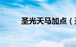 圣光天马加点（圣光天马刷什么）