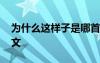 为什么这样子是哪首歌 为什么这样子优秀作文