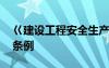 巜建设工程安全生产管理条例 安全生产管理条例