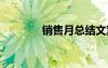 销售月总结文案 销售月总结