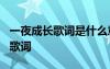 一夜成长歌词是什么意思 于文文《一夜成长》歌词