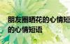朋友圈晒花的心情短语早上运动 朋友圈晒花的心情短语