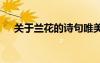 关于兰花的诗句唯美 形容玉兰花的诗句