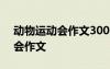 动物运动会作文300字三年级作文 动物运动会作文