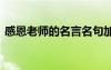 感恩老师的名言名句加出处 感恩老师的名言
