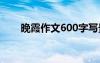 晚霞作文600字写景 晚霞作文600字