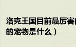 洛克王国目前最厉害的宠物（洛克王国最厉害的宠物是什么）