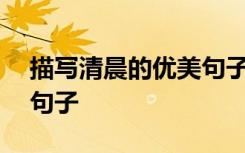 描写清晨的优美句子100字 描写清晨的优美句子