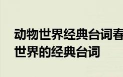 动物世界经典台词春天来了完整版配音 动物世界的经典台词