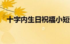 十字内生日祝福小短语 十字霸气生日短句