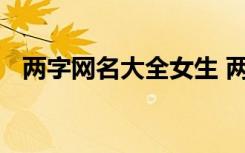 两字网名大全女生 两字网名女生简单气质