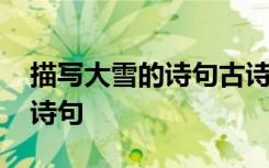 描写大雪的诗句古诗大全感情诗 描写大雪的诗句