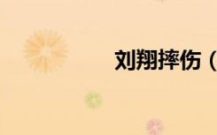 刘翔摔伤（刘翔摔跤）