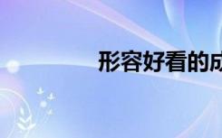 形容好看的成语 看的成语
