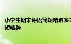 小学生期末评语简短精辟多才多艺怎么写 小学生期末评语简短精辟