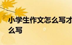 小学生作文怎么写才能得高分 小学生作文怎么写