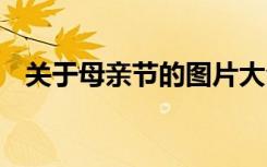 关于母亲节的图片大全 关于母亲节的图片