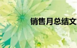 销售月总结文案 销售月总结
