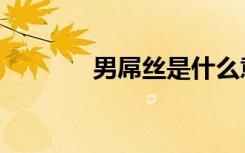 男屌丝是什么意思（男吊丝）