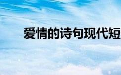 爱情的诗句现代短句 爱情的现代诗词