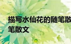描写水仙花的随笔散文作文 描写水仙花的随笔散文
