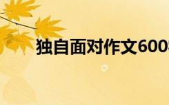 独自面对作文600字 面对作文600字