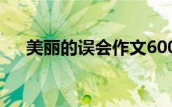 美丽的误会作文600字 美丽的误会作文