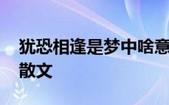 犹恐相逢是梦中啥意思 犹恐相逢是梦中抒情散文