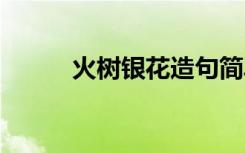 火树银花造句简单 火树银花造句