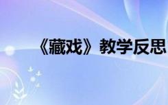 《藏戏》教学反思 藏戏课后教学反思