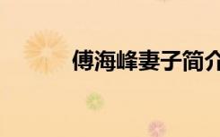 傅海峰妻子简介（傅海峰妻子）