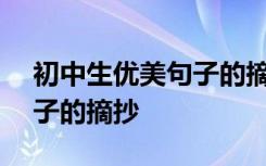 初中生优美句子的摘抄100字 初中生优美句子的摘抄