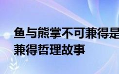 鱼与熊掌不可兼得是什么心理 鱼与熊掌不可兼得哲理故事