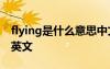 flying是什么意思中文 fly a kite是什么意思英文