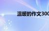 温暖的作文300字 温暖的作文