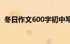 冬日作文600字初中写事 冬日的作文600字