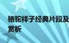 骆驼祥子经典片段及赏析 骆驼祥子经典好句赏析