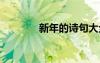 新年的诗句大全 新年的诗句